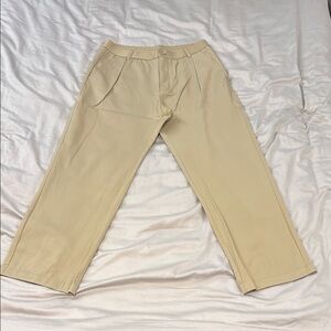 Zara Pleated Dress Pant